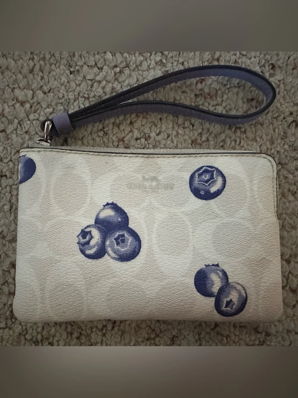 Coach Blue Fruit-Print Wristlet Clutch